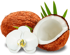 coconut